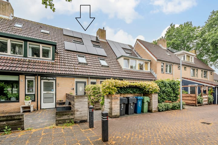 undefined main image