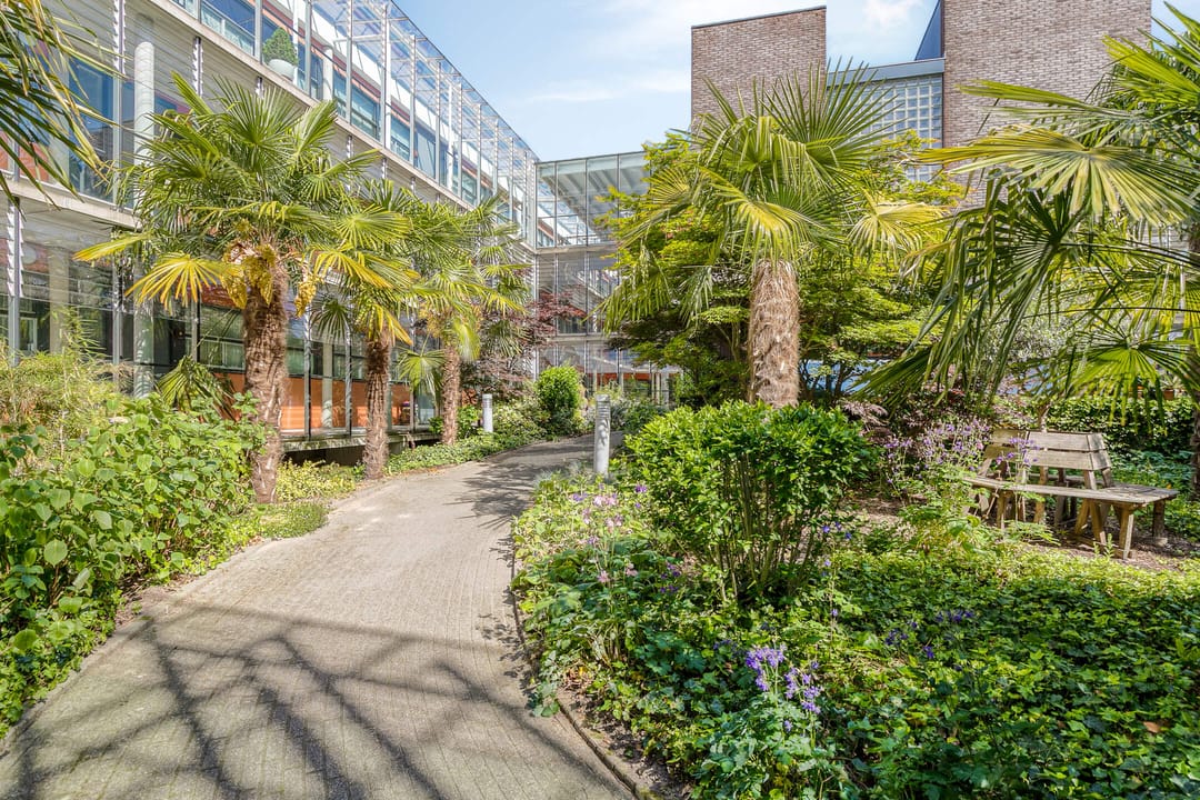 Foto 2 van Parelgras 102