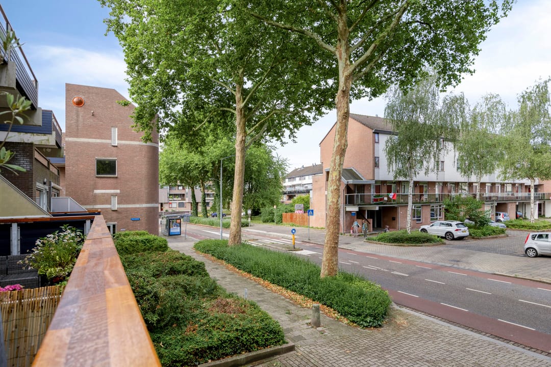 Foto 22 van Doornenburg 29