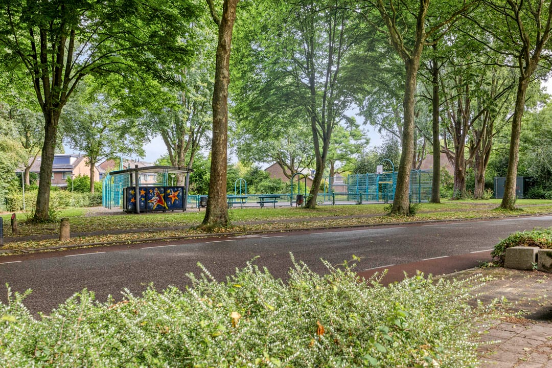 Foto 32 van Doornenburg 29