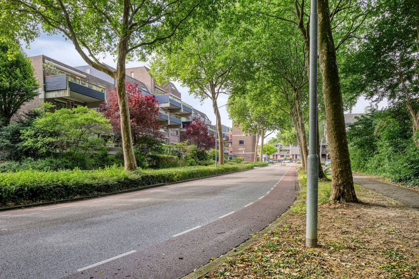 Foto 34 van Doornenburg 29