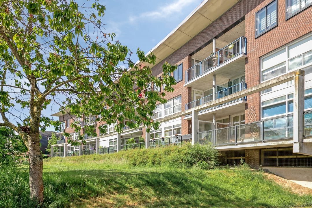 Foto 37 van Parelgras 102