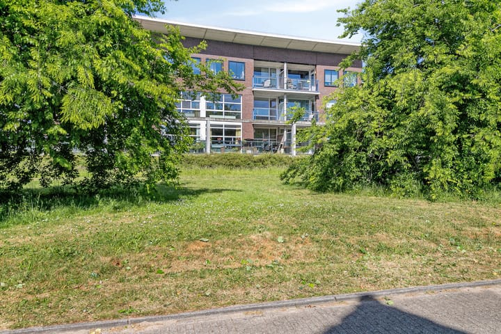 Photo 38 of Parelgras 102