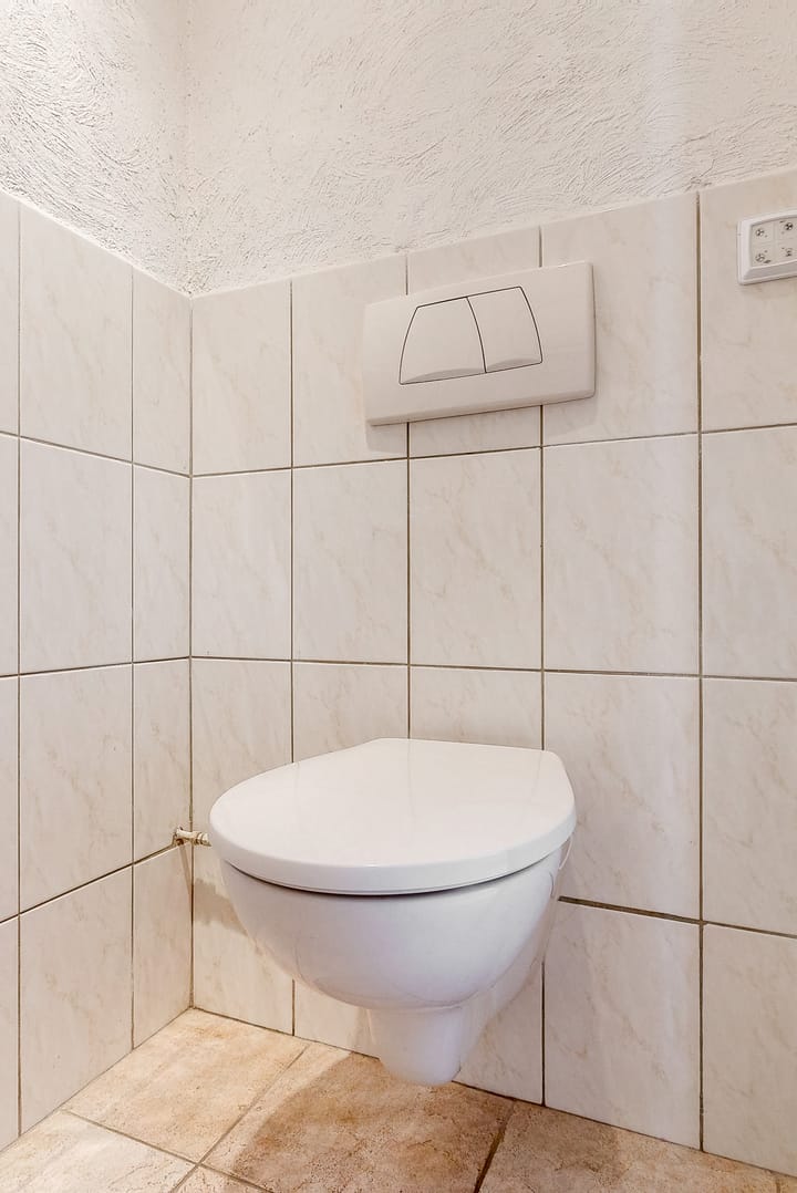 Photo 8 of Heivlinder 65