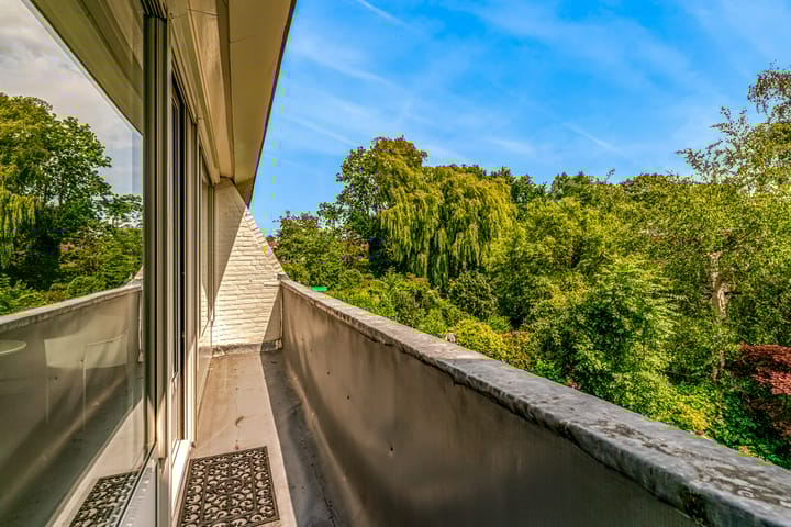 Photo 22 of Heivlinder 65