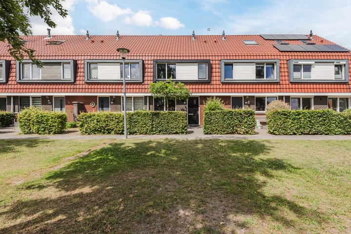 undefined main image