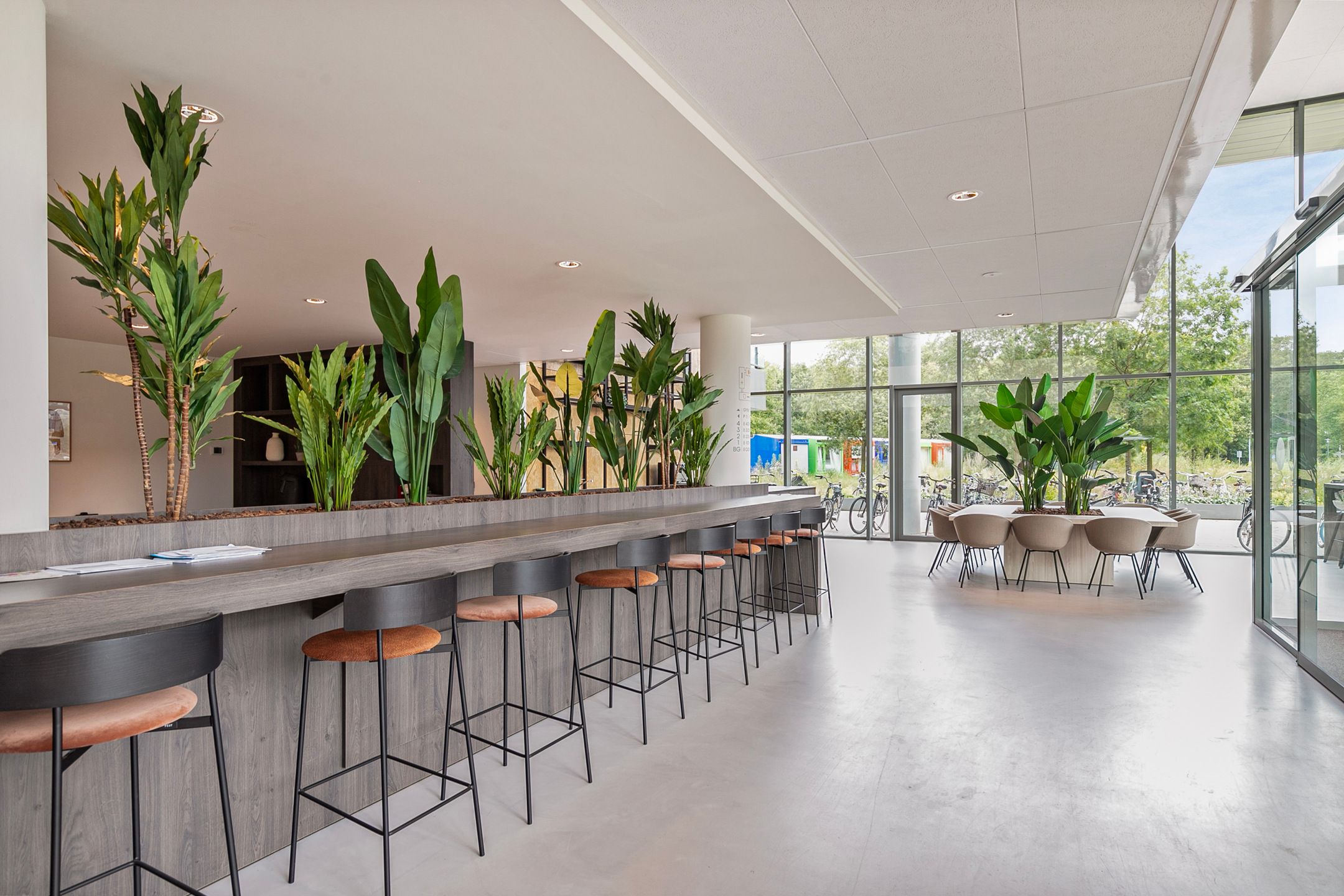 Foto 3 van Grenenhout 8-225