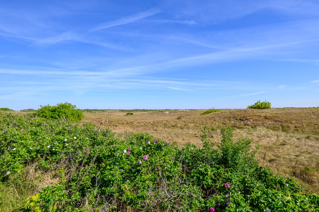 Photo 37 of Haagweg 37