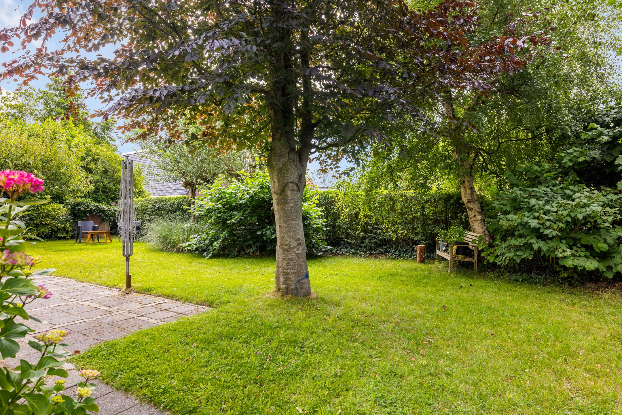 Photo 18 of Rients Westrastrjitte 1