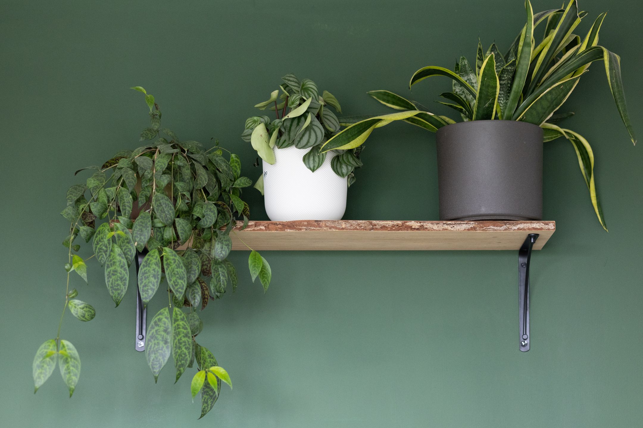 Foto 6 van Jan van Goyenstraat 156