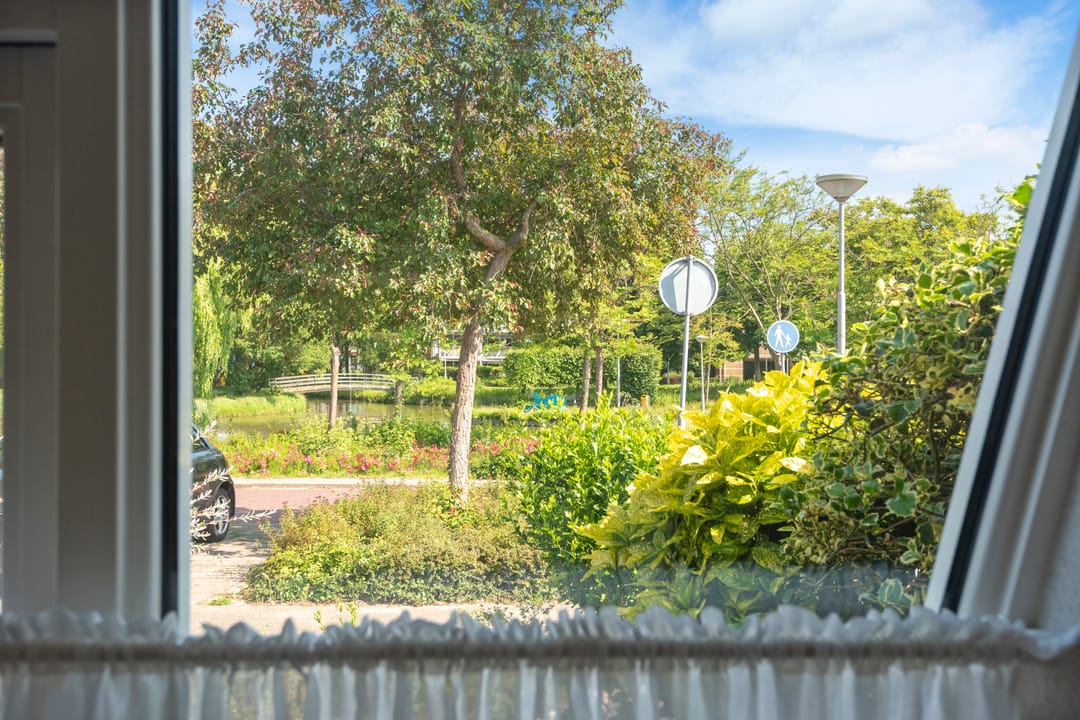 Foto 11 van Ringmus 20