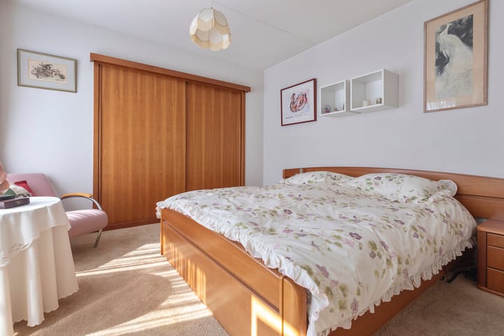 Foto 12 van Ringmus 20