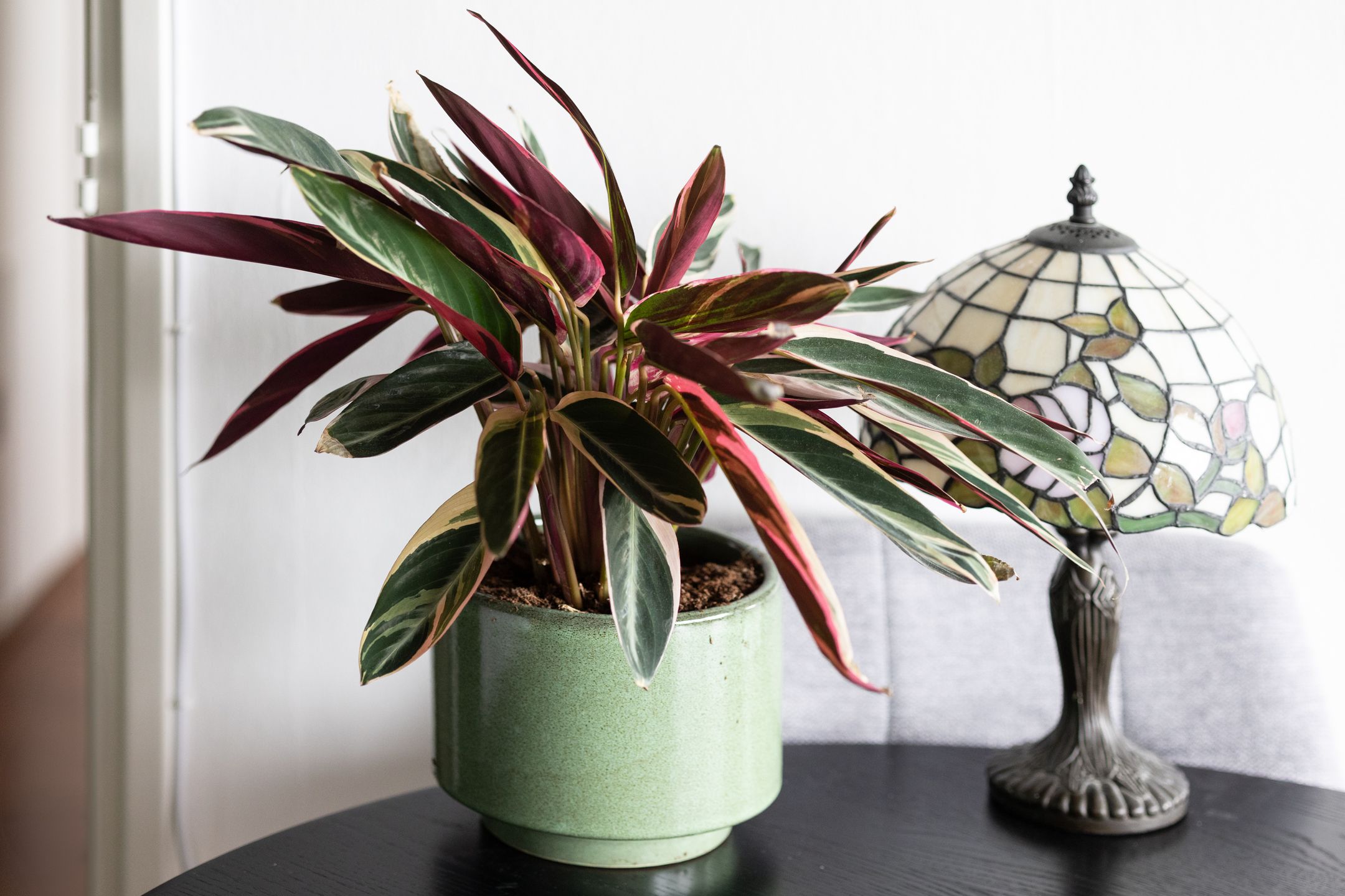 Foto 9 van Jan van Goyenstraat 156