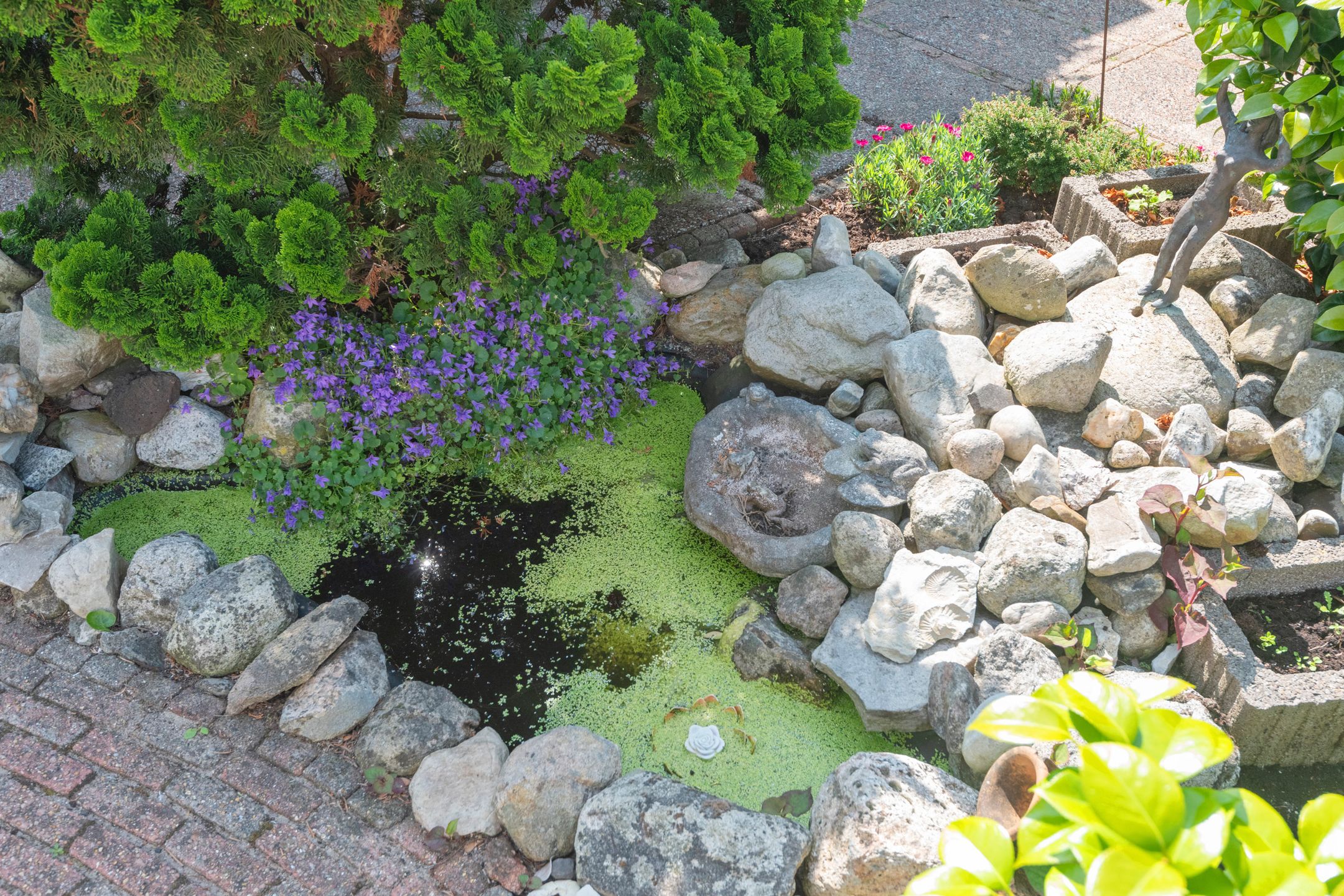 Foto 18 van Ringmus 20