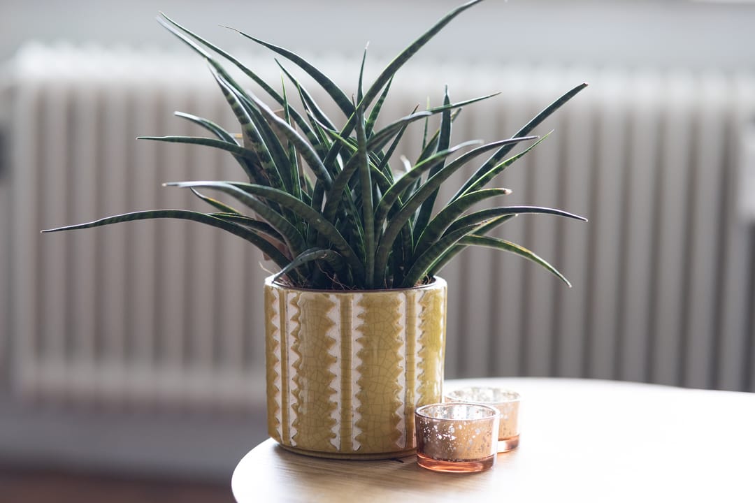 Foto 16 van Jan van Goyenstraat 156