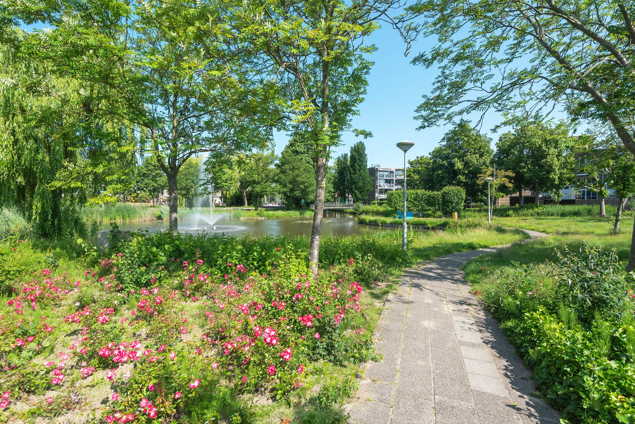 Foto 33 van Ringmus 20