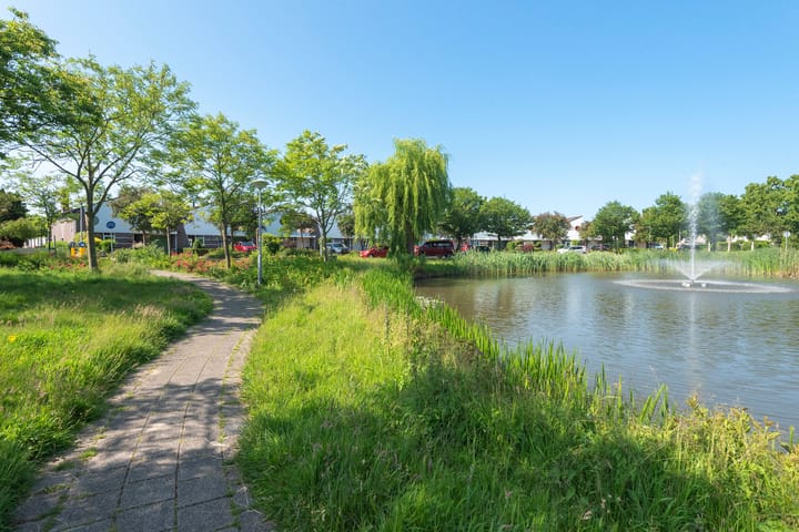 Foto 34 van Ringmus 20