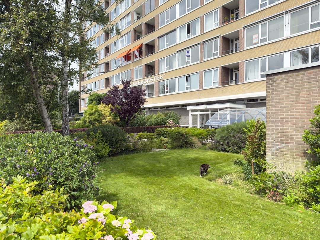 Foto 41 van Jan van Goyenstraat 156