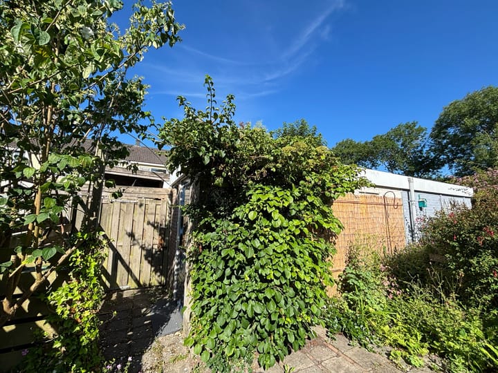 Photo 10 of Populierenlaan 23