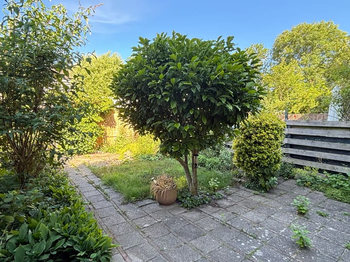 Photo 12 of Populierenlaan 23