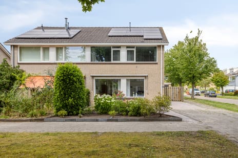 undefined main image