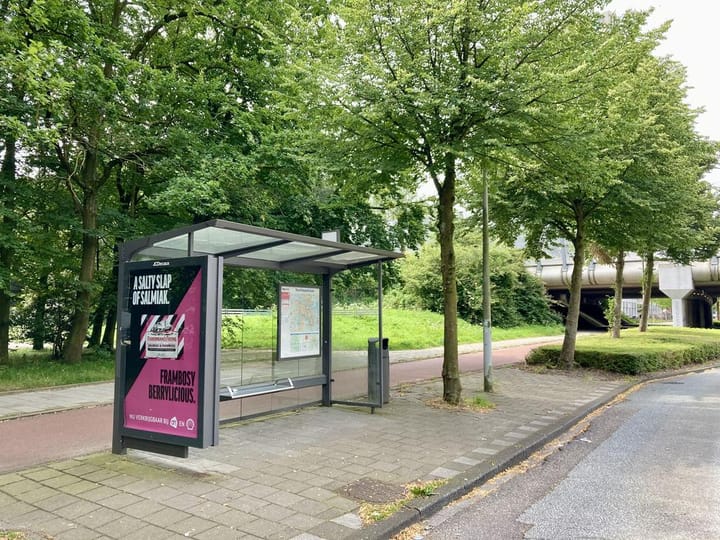 Foto 9 van Nachtwachtlaan 484