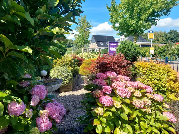 Foto 35 van Grindweg 222