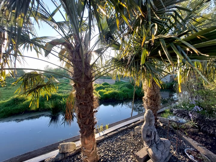 Foto 43 van Grindweg 222