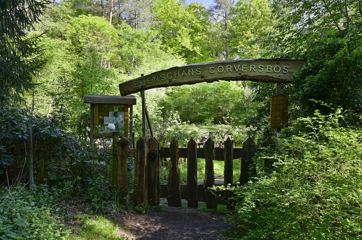 Photo 25 of Neuweg 539