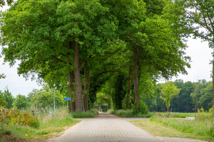 Photo 60 of Sieverdinkweg 14