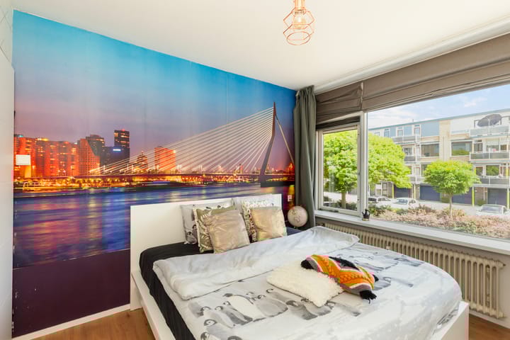 Foto 11 van Van Anrooystraat 165