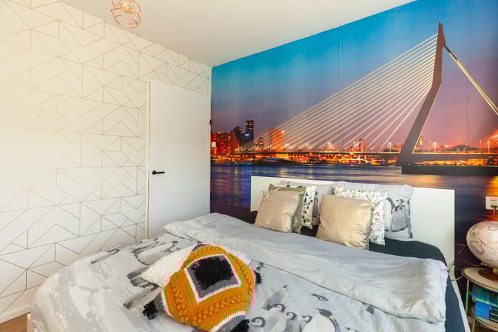 Foto 13 van Van Anrooystraat 165