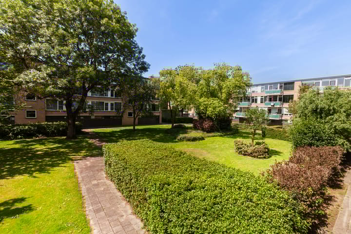 Foto 21 van Van Anrooystraat 165