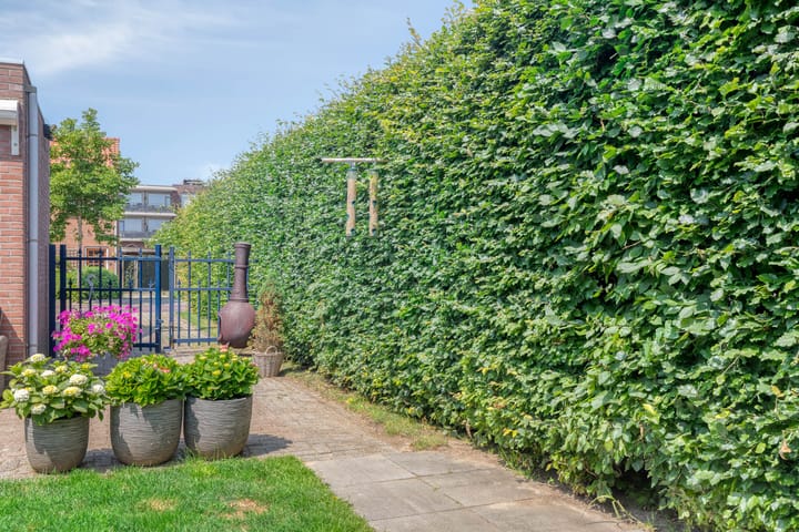 Foto 14 van Koninginneweg 56