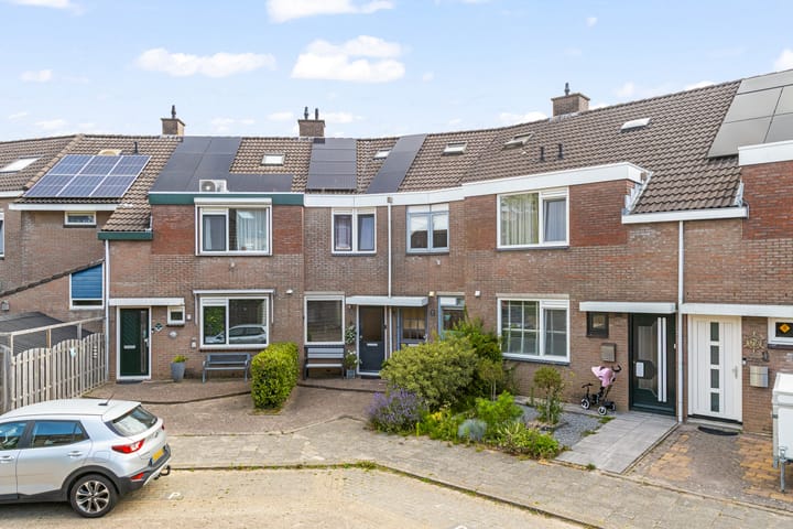 Foto 2 van Punter 77