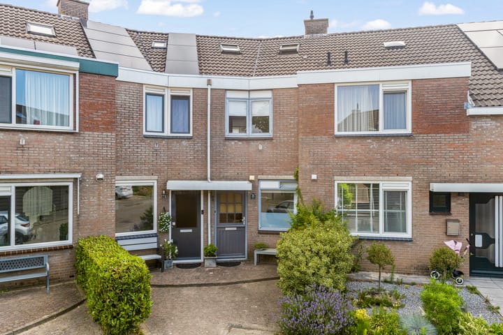 Foto 3 van Punter 77