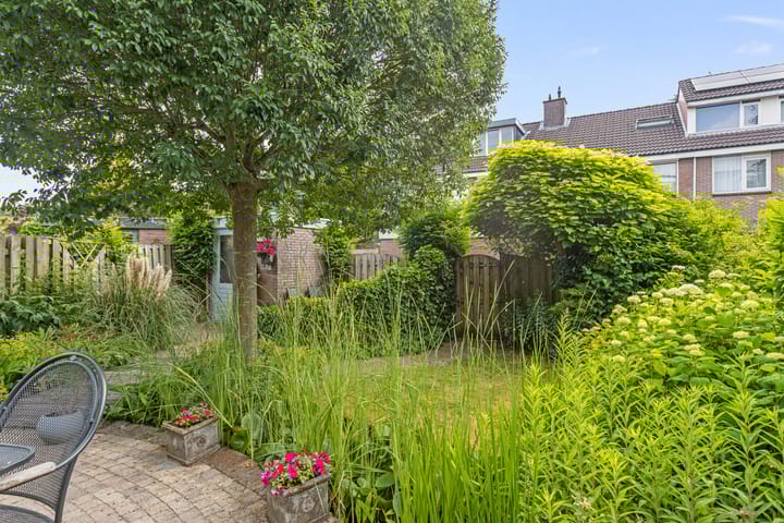 Foto 35 van Punter 77