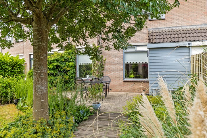 Foto 37 van Punter 77