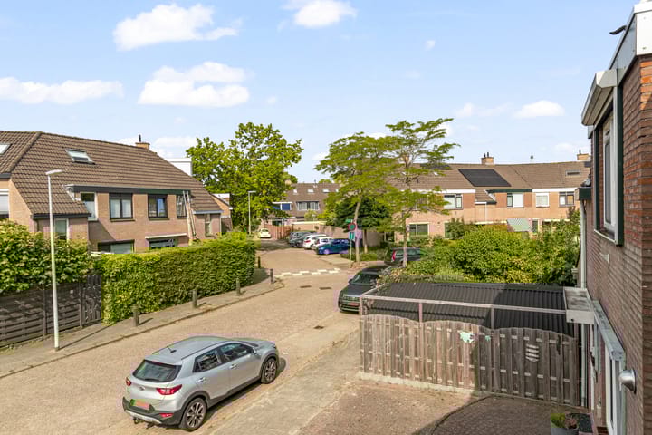 Foto 43 van Punter 77