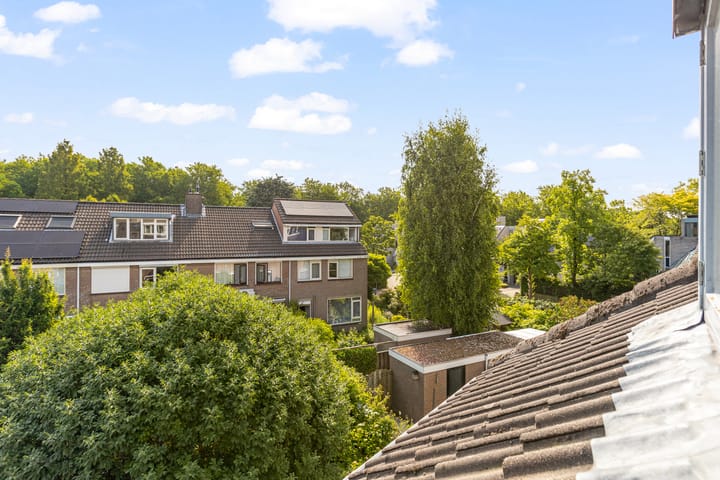 Foto 44 van Punter 77