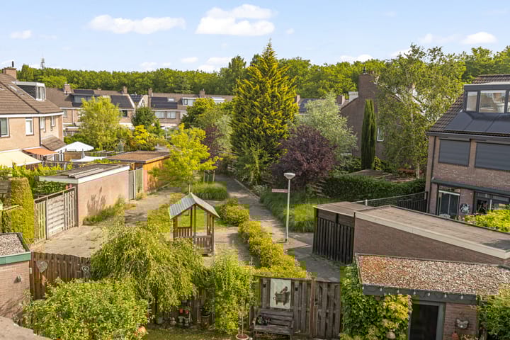 Foto 45 van Punter 77