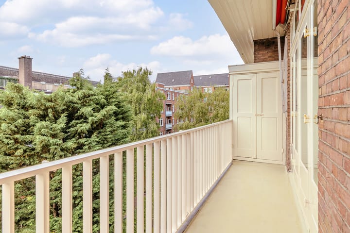 Foto 5 van Minervalaan 76-3