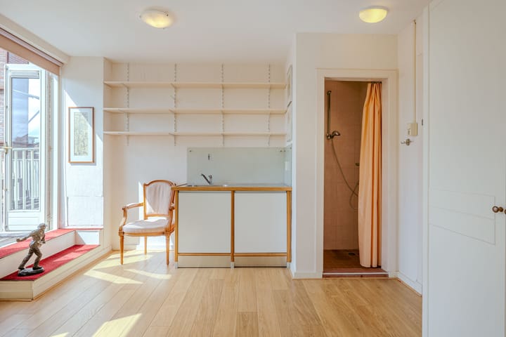 Foto 27 van Minervalaan 76-3