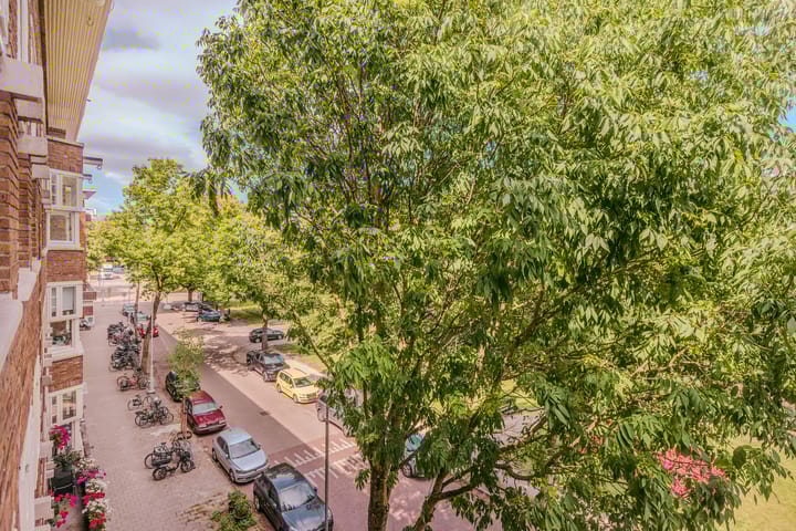 Foto 39 van Minervalaan 76-3