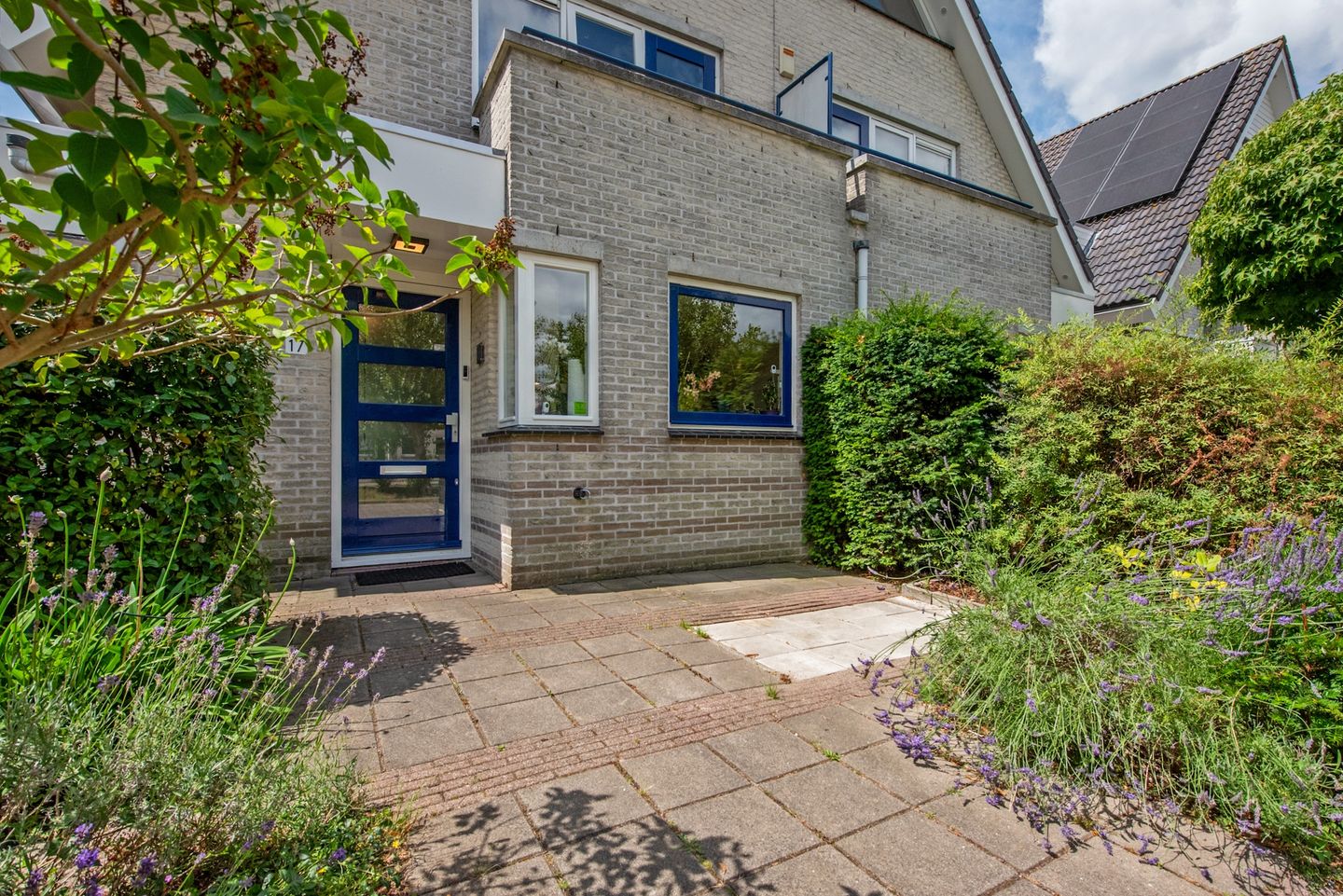 Photo 5 of Pinksterbloem 17