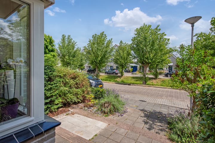 Foto 6 van Pinksterbloem 17