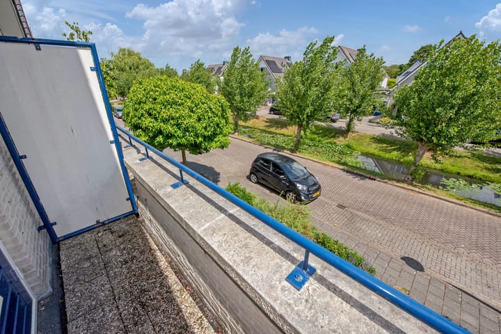 Foto 22 van Pinksterbloem 17