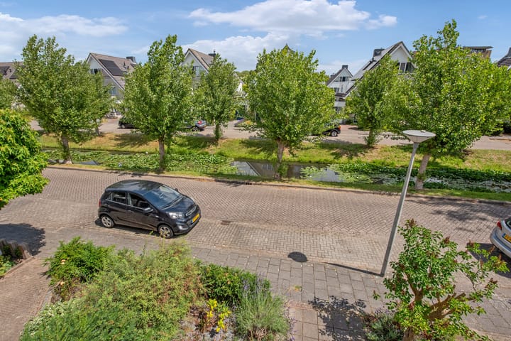 Foto 23 van Pinksterbloem 17