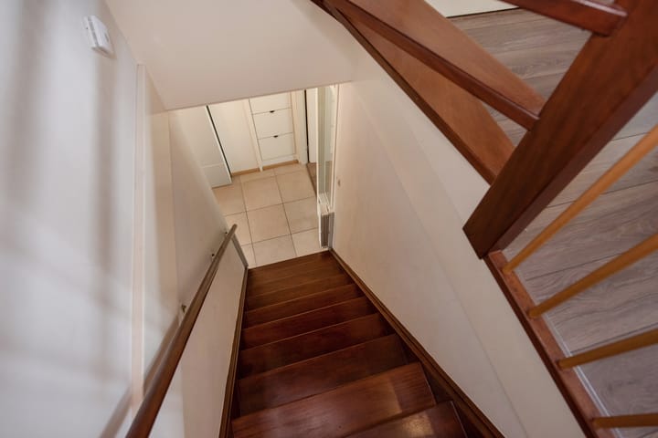 Foto 30 van Pinksterbloem 17