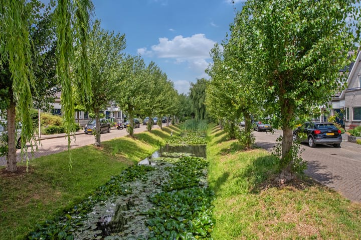 Foto 34 van Pinksterbloem 17